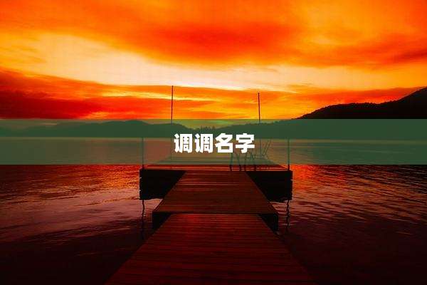 调调名字