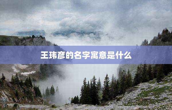 王玮彦的名字寓意是什么
