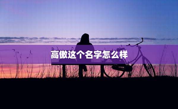 高傲这个名字怎么样