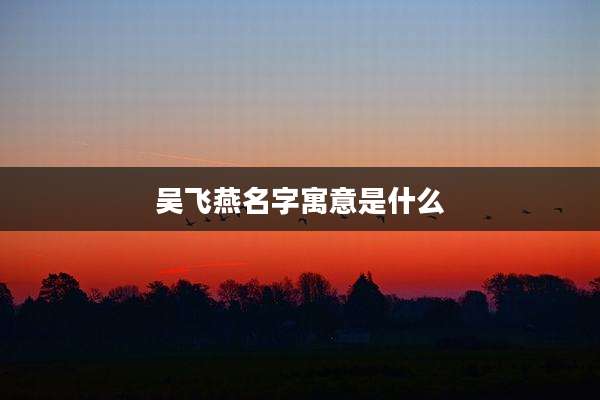 吴飞燕名字寓意是什么