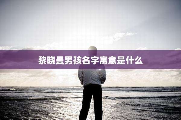 黎晓曼男孩名字寓意是什么