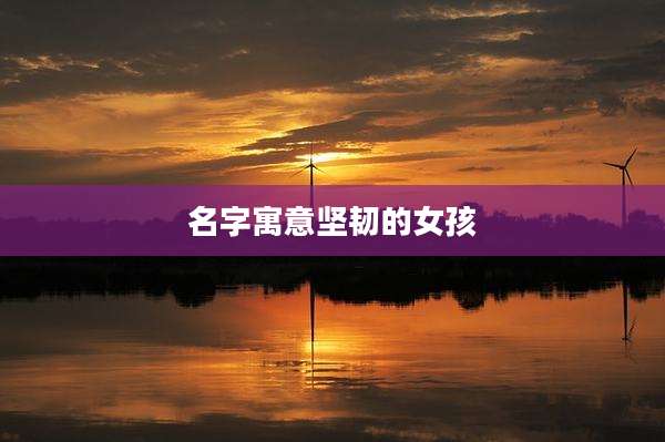 名字寓意坚韧的女孩