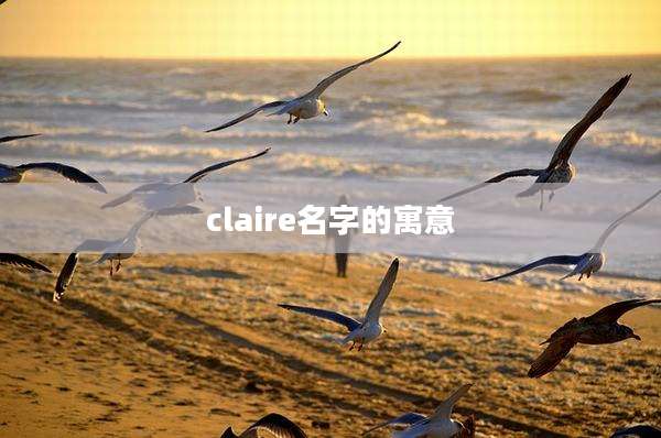 claire名字的寓意
