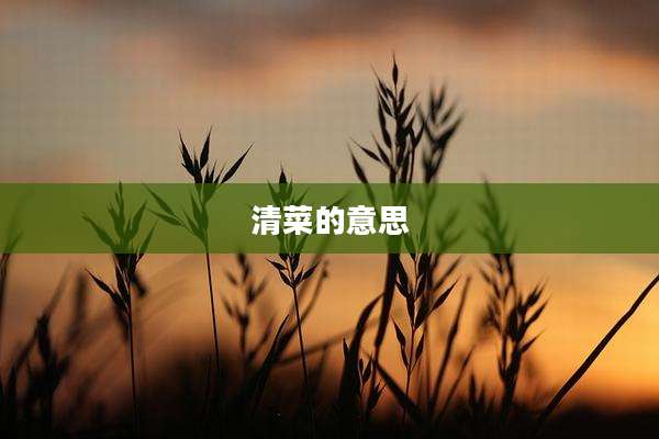 清菜的意思