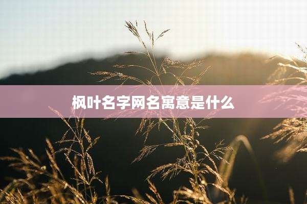 枫叶名字网名寓意是什么