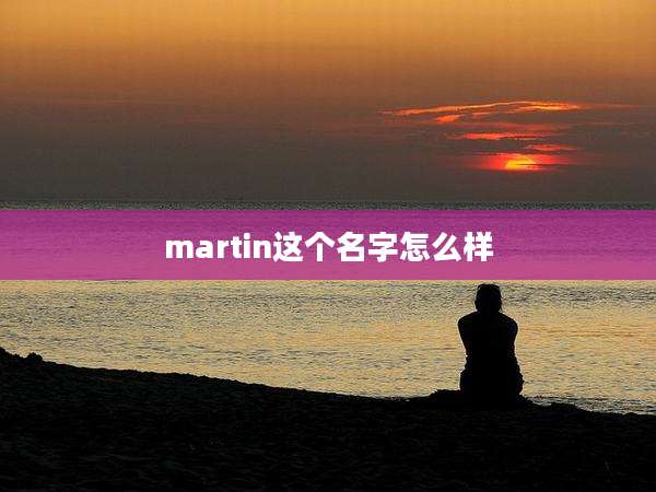 martin这个名字怎么样