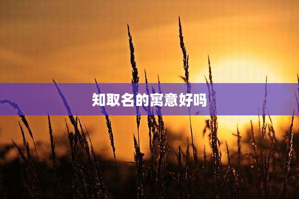 知取名的寓意好吗