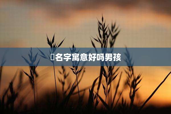 璟名字寓意好吗男孩