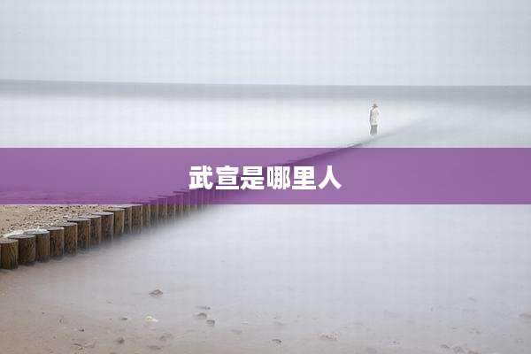 武宣是哪里人