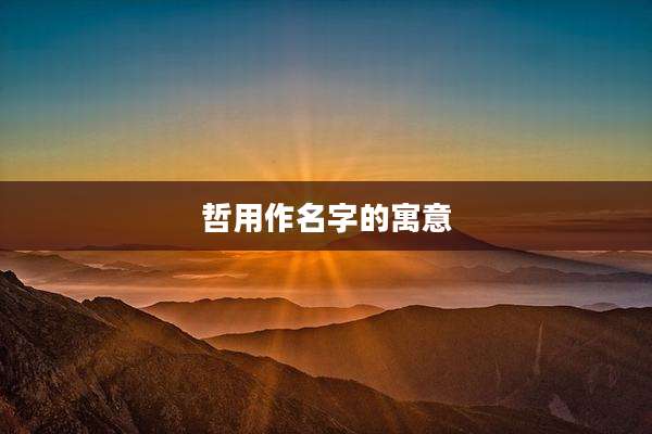 哲用作名字的寓意