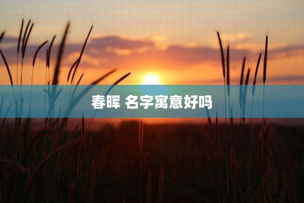 春晖 名字寓意好吗