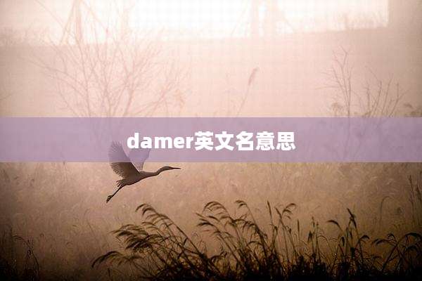 damer英文名意思
