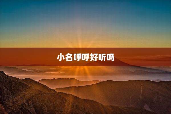 小名呼呼好听吗