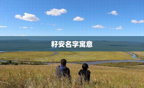 籽安名字寓意