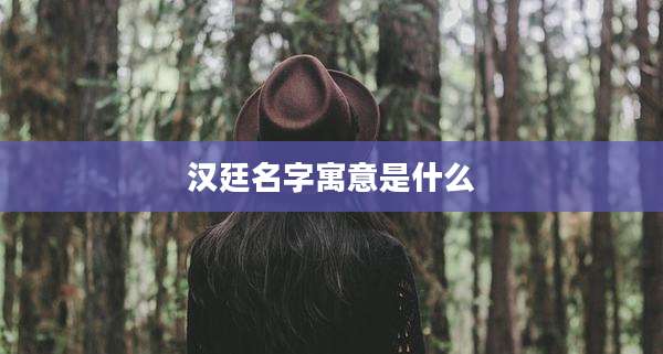 汉廷名字寓意是什么