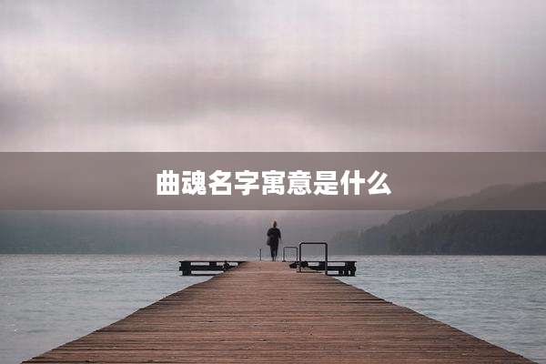 曲魂名字寓意是什么
