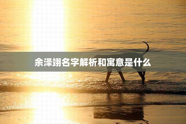 余泽翊名字解析和寓意是什么