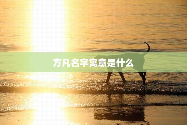 方凡名字寓意是什么