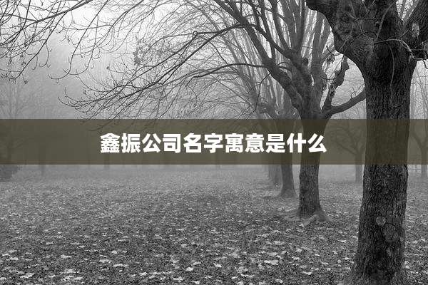 鑫振公司名字寓意是什么