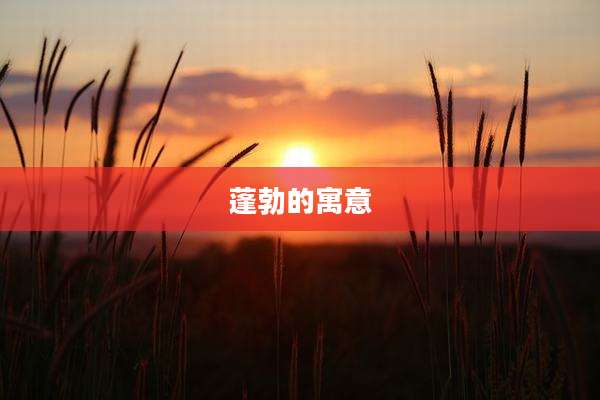 蓬勃的寓意