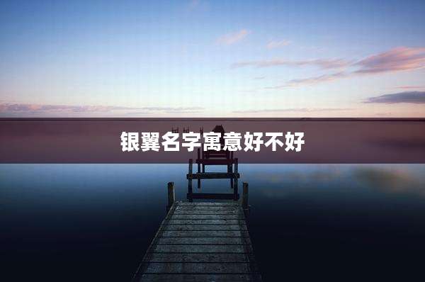 银翼名字寓意好不好