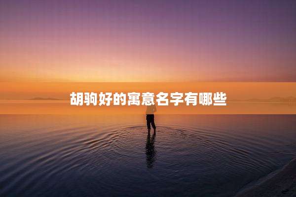 胡驹好的寓意名字有哪些