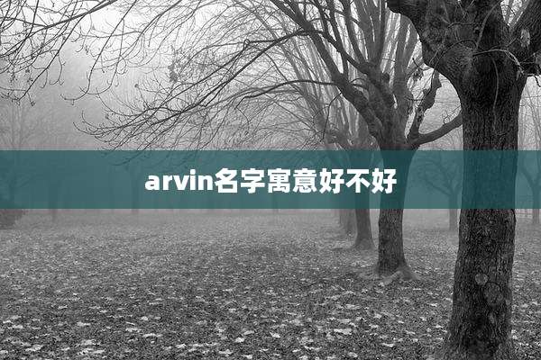 arvin名字寓意好不好