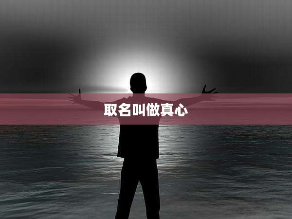 取名叫做真心