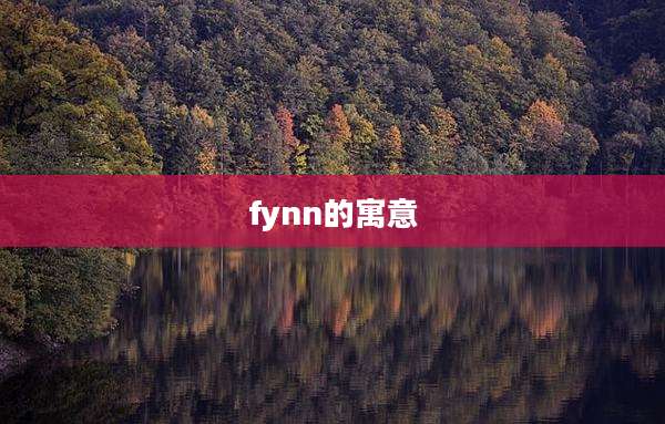 fynn的寓意