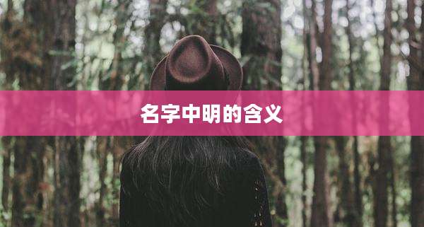 名字中明的含义