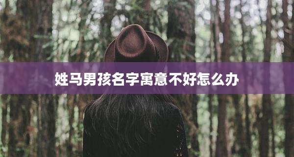 姓马男孩名字寓意不好怎么办