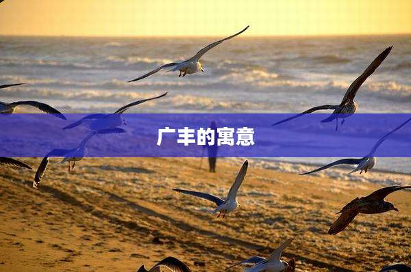 广丰的寓意