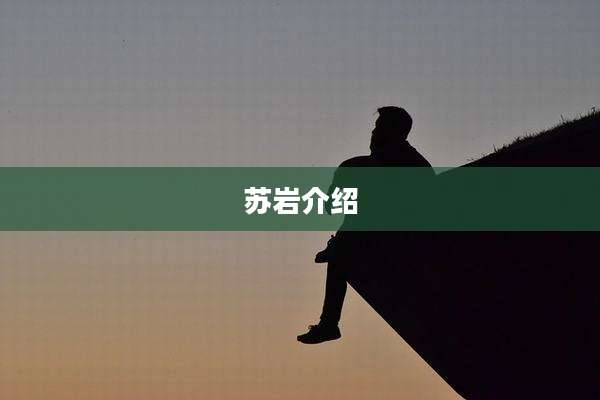 苏岩介绍