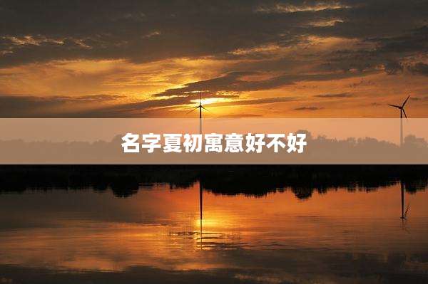 名字夏初寓意好不好