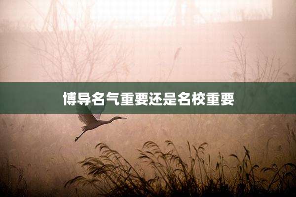 博导名气重要还是名校重要