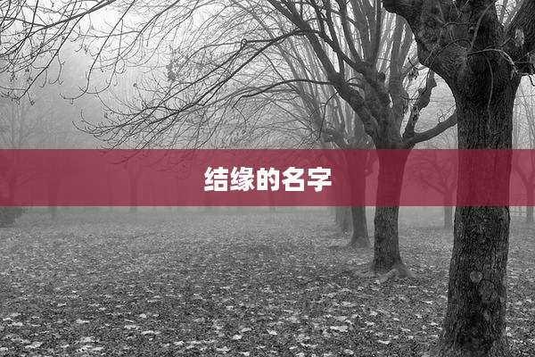 结缘的名字