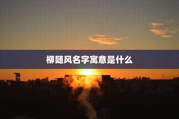 柳随风名字寓意是什么