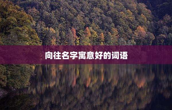 向往名字寓意好的词语