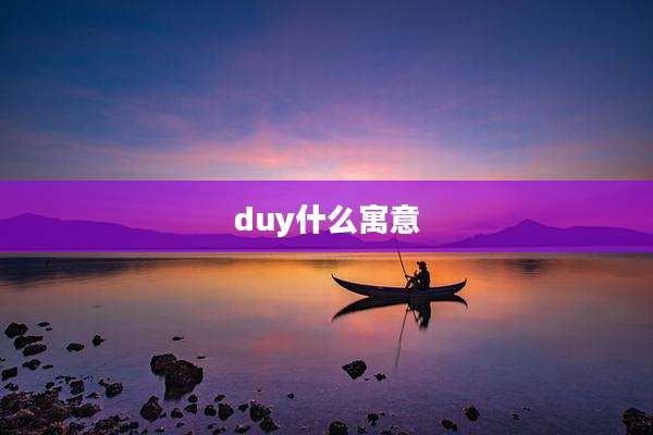 duy什么寓意