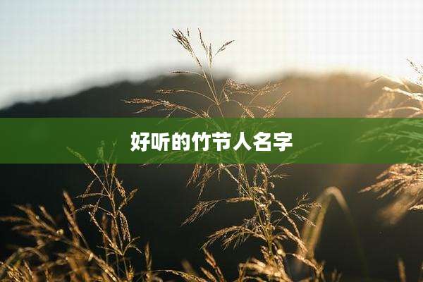 好听的竹节人名字