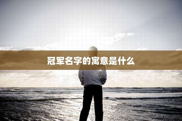 冠军名字的寓意是什么
