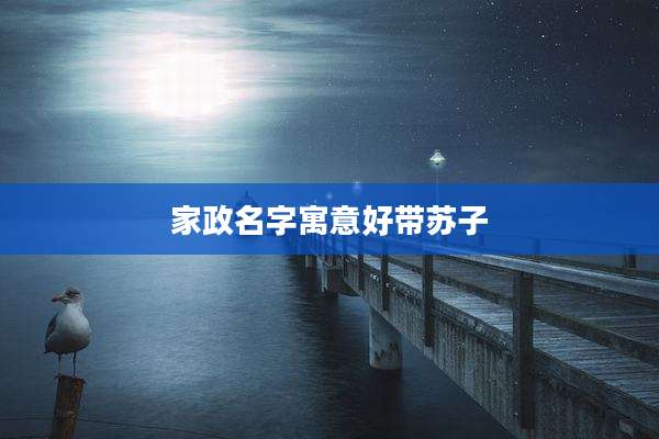 家政名字寓意好带苏子