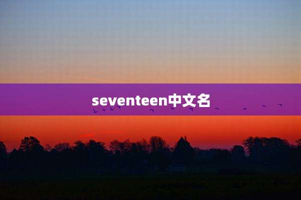 seventeen中文名