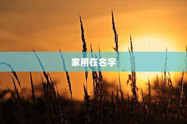 家用在名字