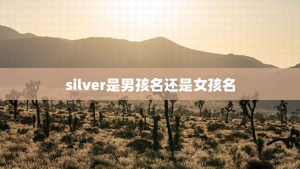 silver是男孩名还是女孩名