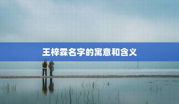 王梓霖名字的寓意和含义
