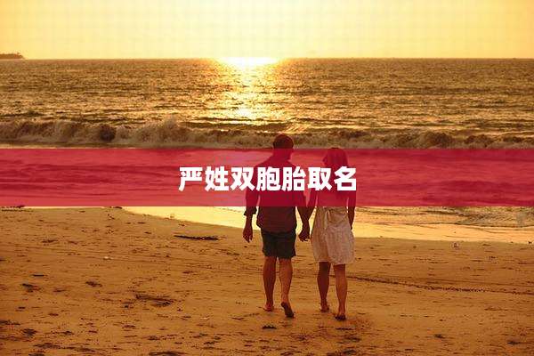 严姓双胞胎取名
