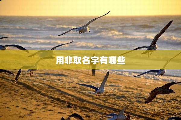用非取名字有哪些