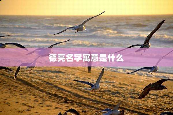 德亮名字寓意是什么