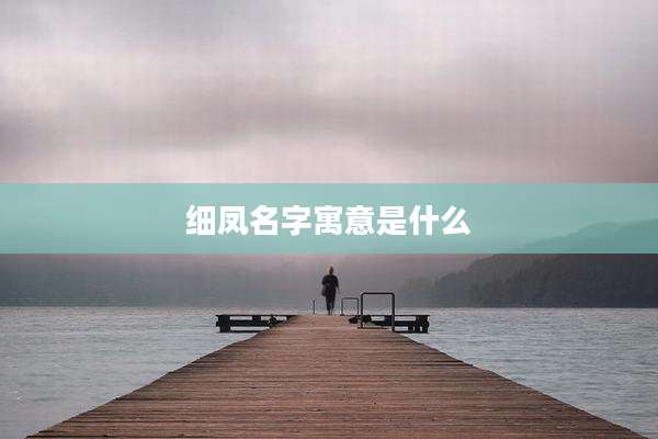 细凤名字寓意是什么